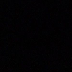 Meet your Posher, Susie